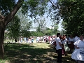 DSCF8382